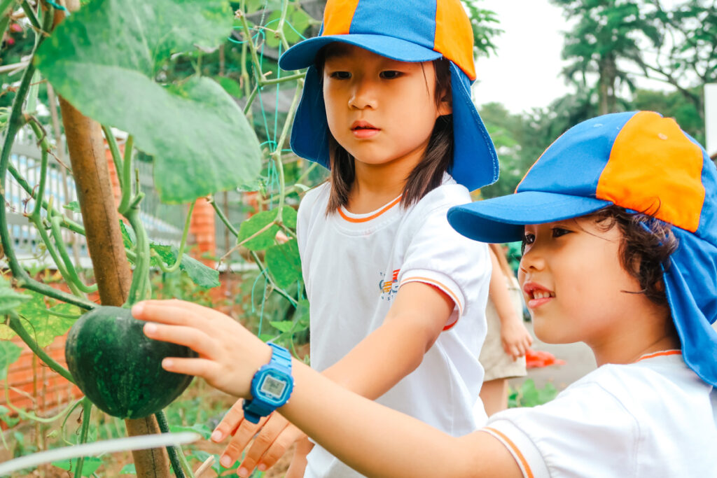 Students learning at Farm Alley
