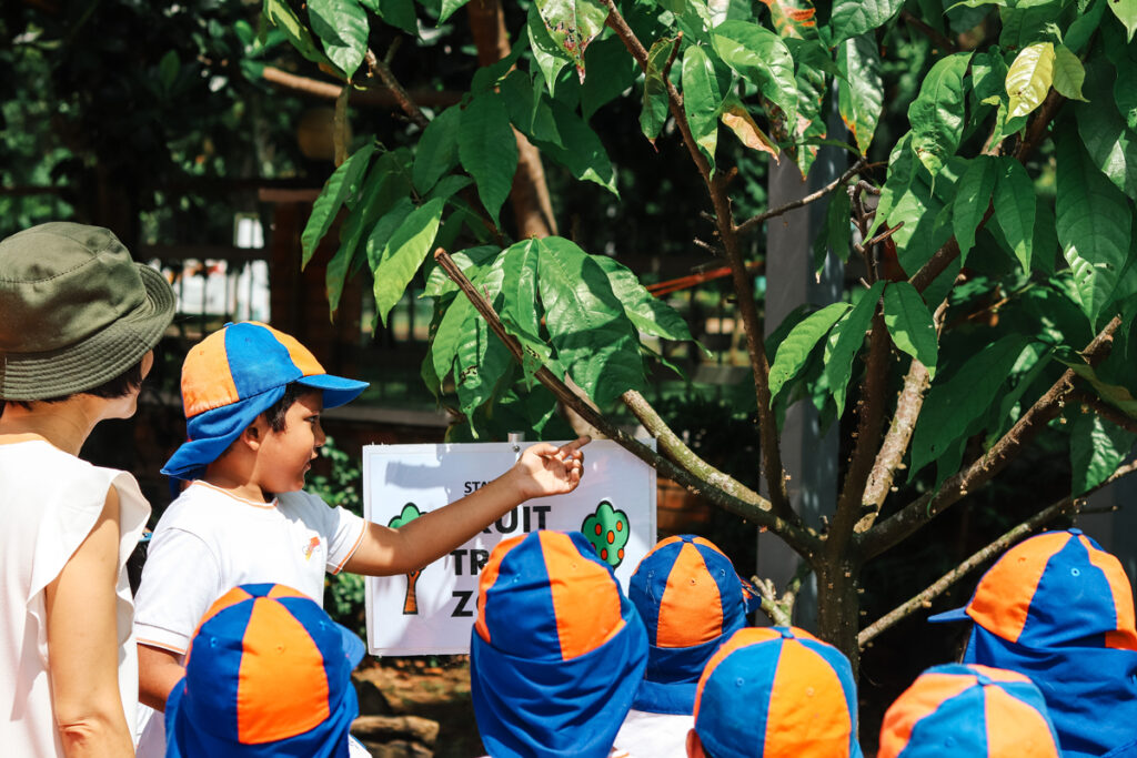 Immersive environmental education