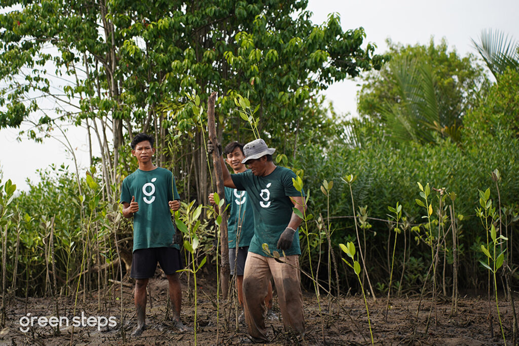 Reforestation efforts in Sumatra