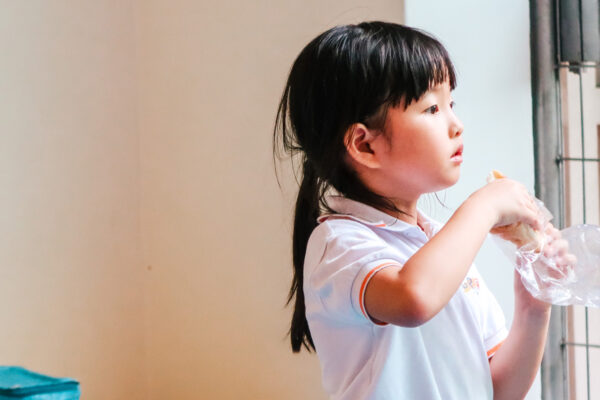 Student foundation activity 8